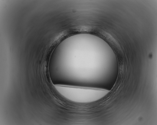 X0000098070264200804040734