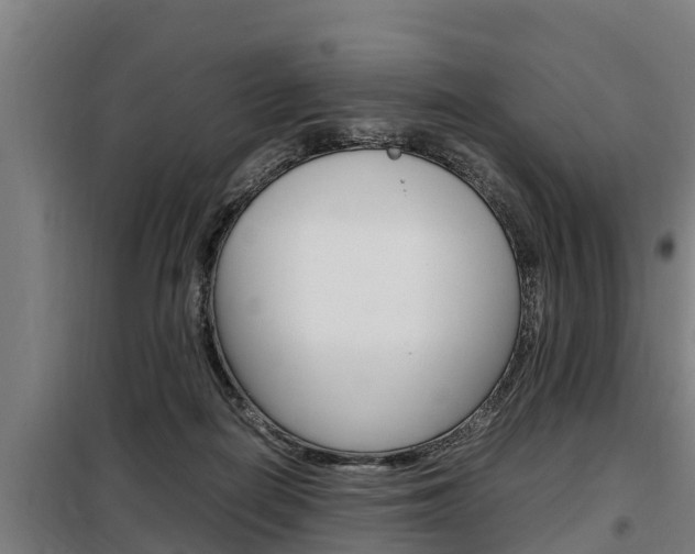 X0000098070266200804040734
