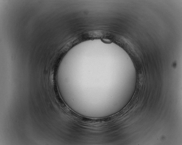 X0000098070267200804040734