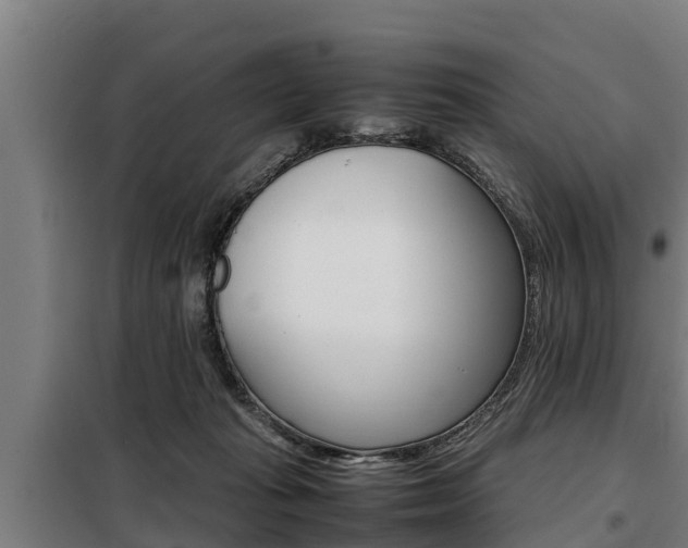 X0000098070269200804040735