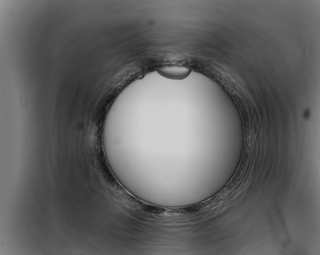 X0000098070270200804040735