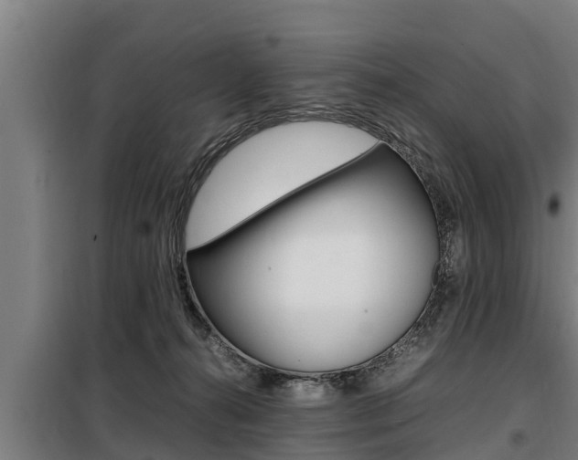 X0000098070272200804040735