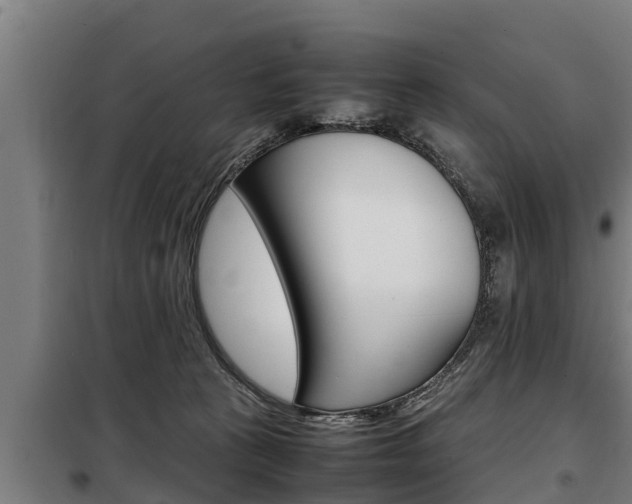 X0000098070273200804040735
