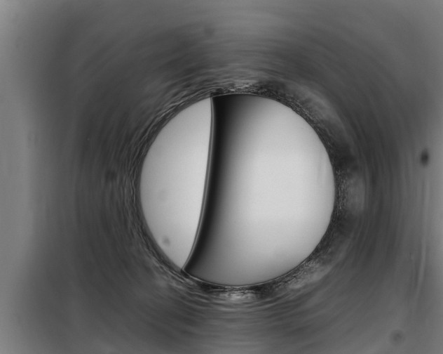 X0000098070274200804040735