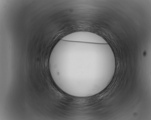X0000098070276200804040735