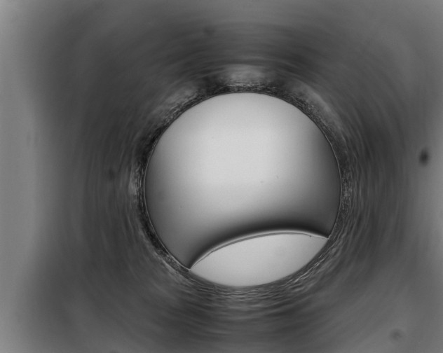 X0000098070277200804040735