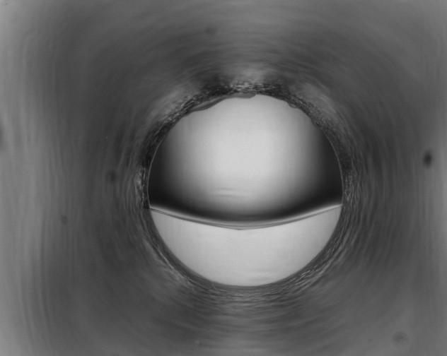 X0000098070280200804040735