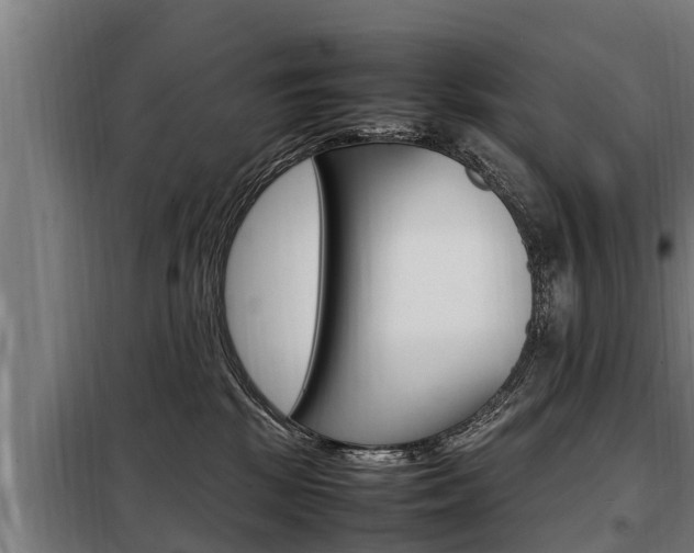 X0000098070281200804040735