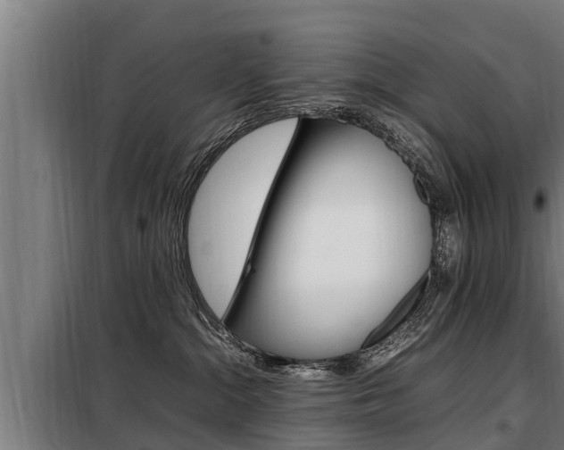 X0000098070284200804040735
