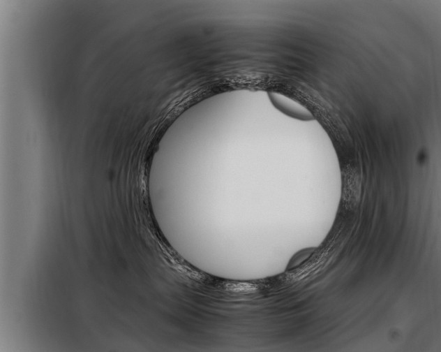 X0000098070287200804040735
