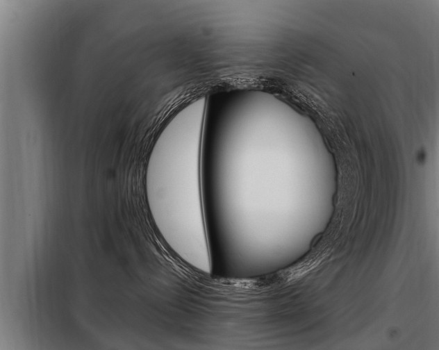 X0000098070288200804040735