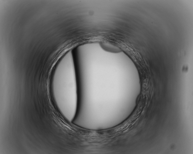 X0000098070290200804040734