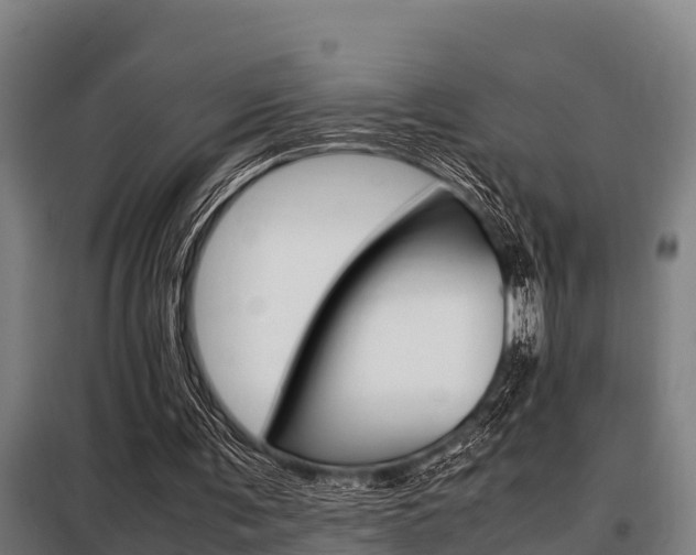 X0000098070291200804040734