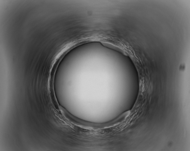 X0000098070292200804040734