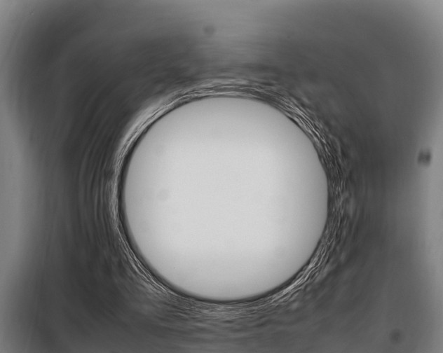 X0000098070293200804040734