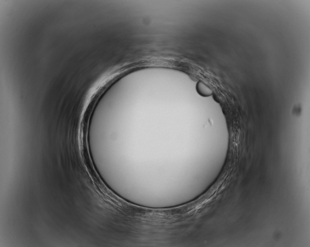 X0000098070294200804040734