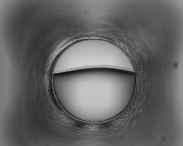 X0000098070295200804040734