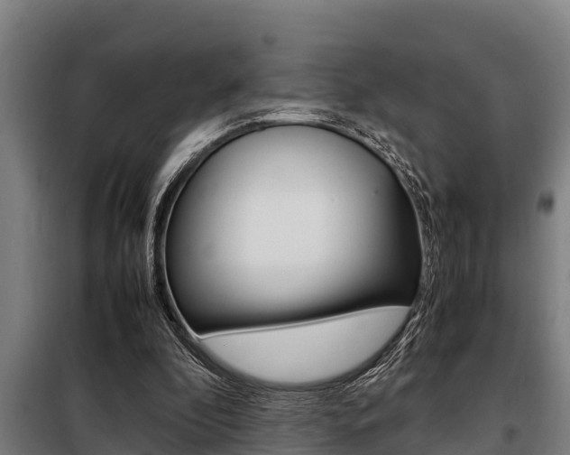 X0000098070296200804040734