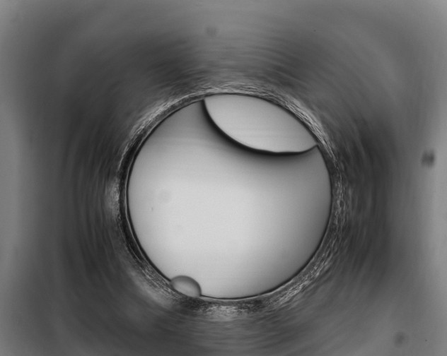 X0000098070298200804040734