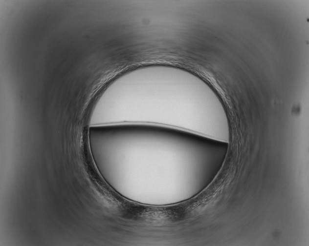 X0000098070299200804040734