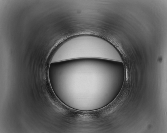 X0000098070300200804040734