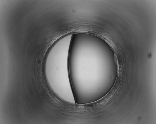 X0000098070301200804040734