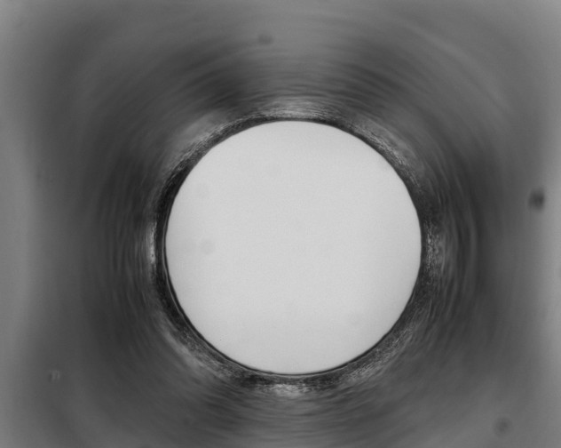 X0000098070302200804040734