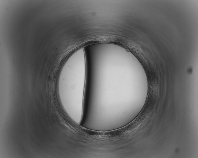 X0000098070303200804040734