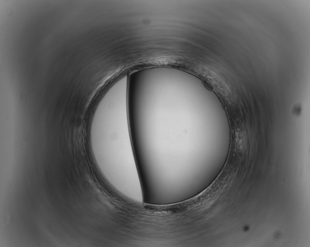 X0000098070304200804040734