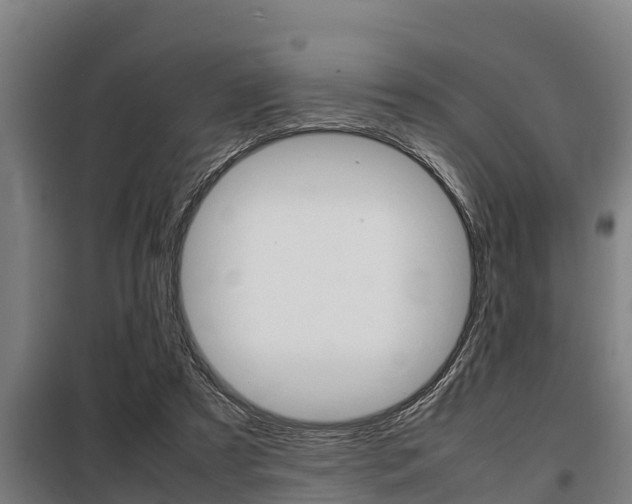 X0000098070305200804040734