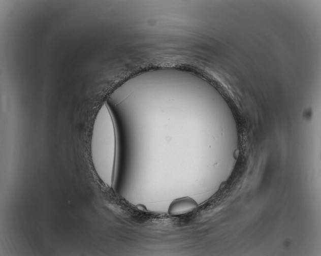 X0000098070307200804040734