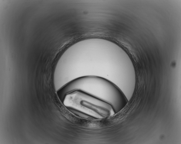 X0000098070308200804040734