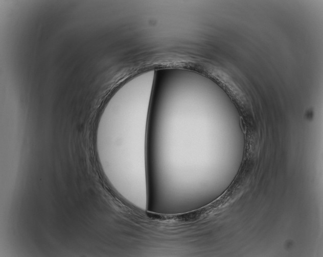 X0000098070309200804040734