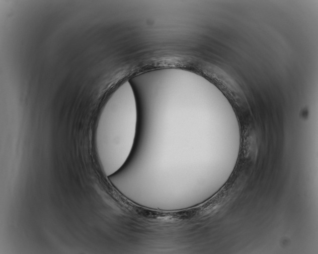 X0000098070310200804040734