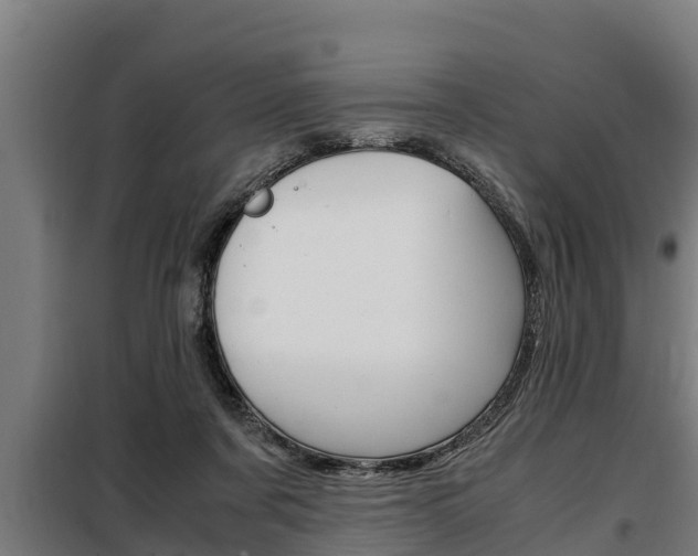 X0000098070311200804040734