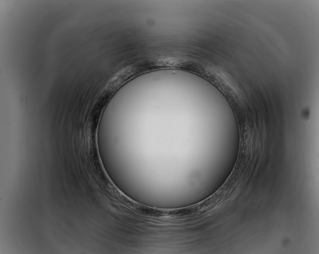 X0000098070312200804040734