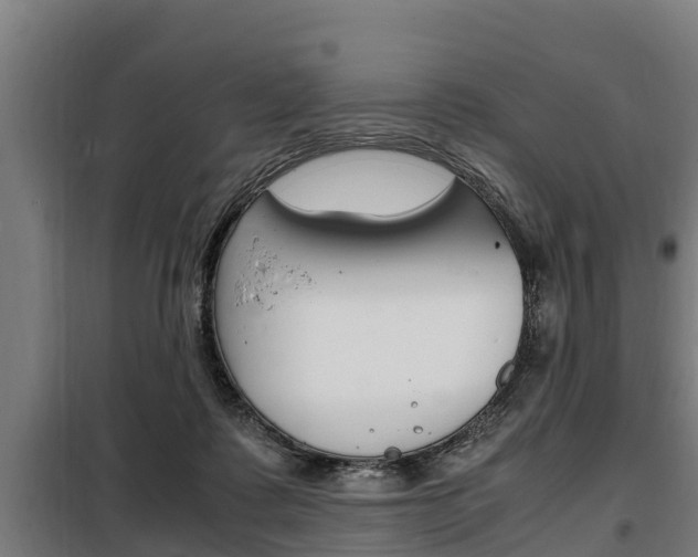X0000098070315200804040734