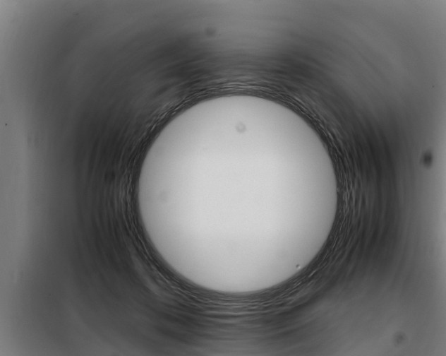 X0000098070316200804040734