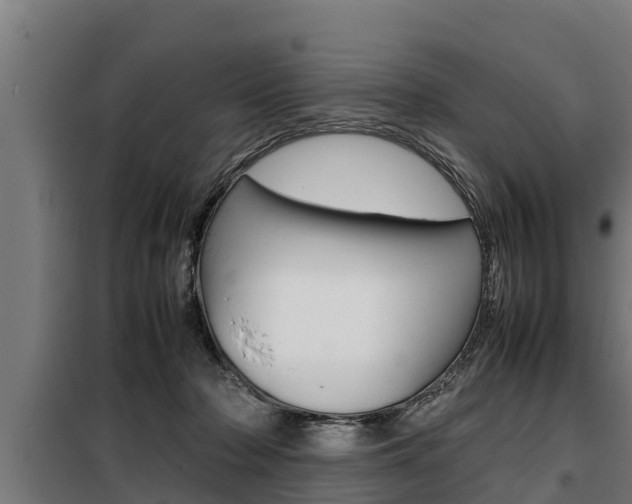 X0000098070318200804040734