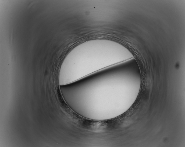 X0000098070319200804040734