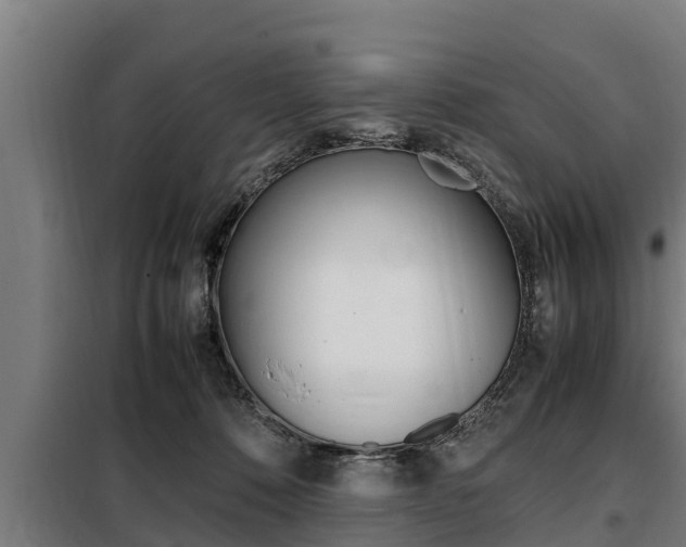 X0000098070320200804040734