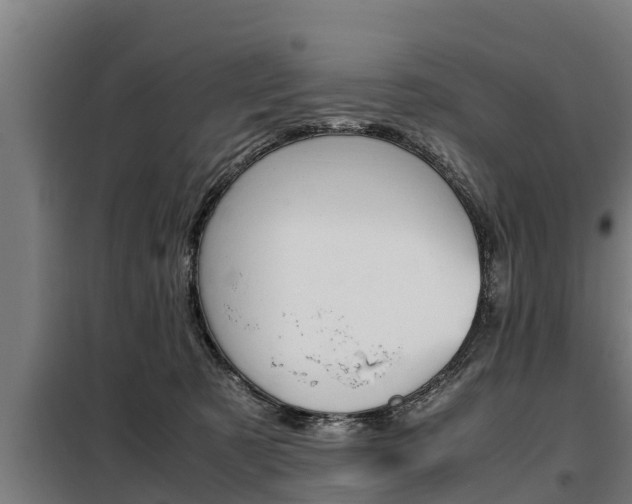 X0000098070321200804040733