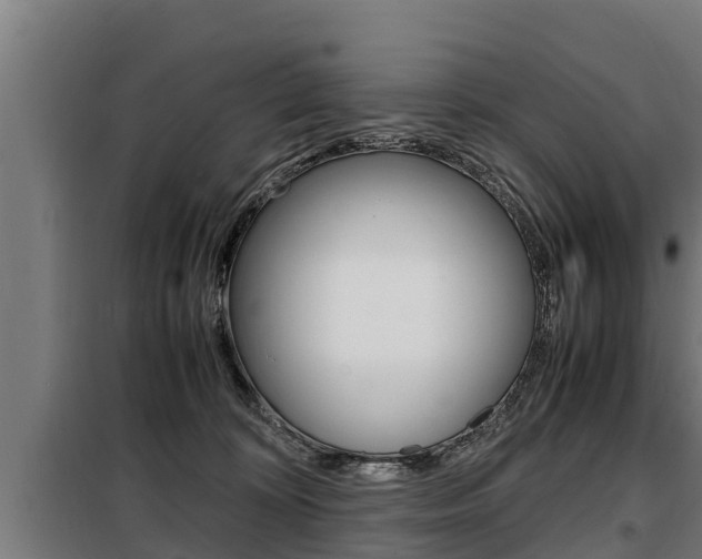 X0000098070324200804040733