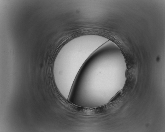 X0000098070325200804040733