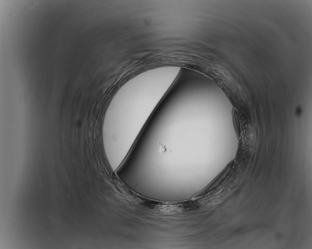 X0000098070327200804040733