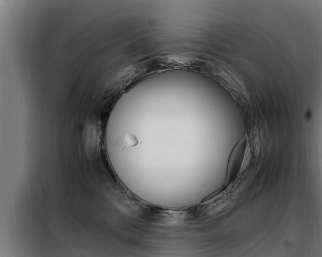 X0000098070328200804040733