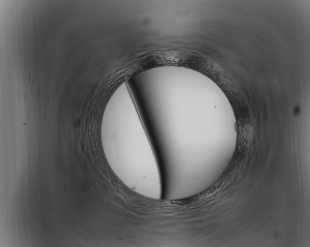 X0000098070331200804040733