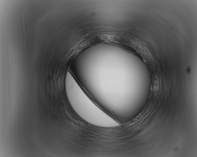 X0000098070332200804040733