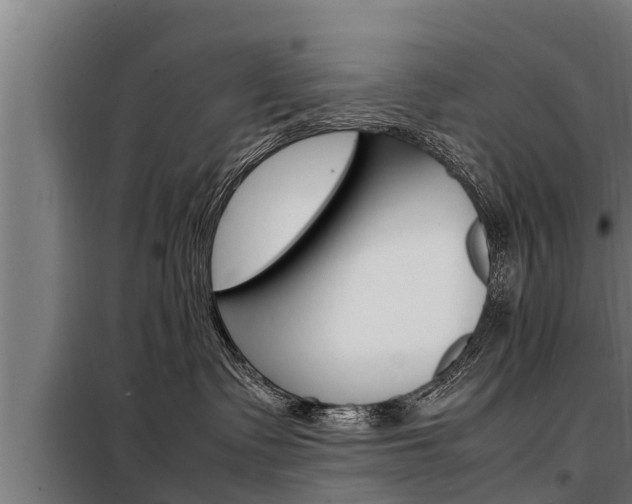 X0000098070335200804040733