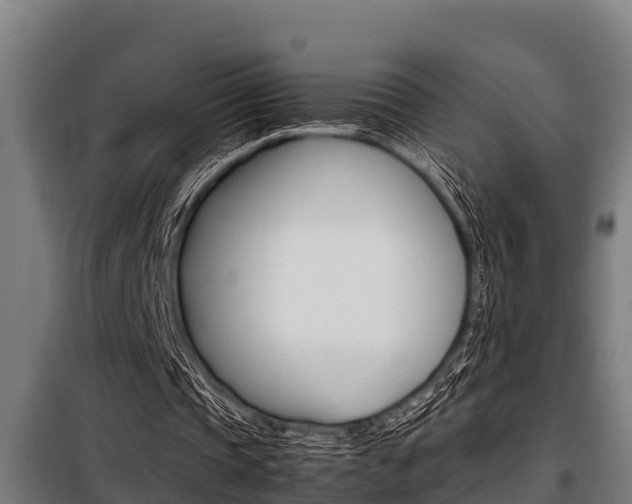 X0000098070337200804040733
